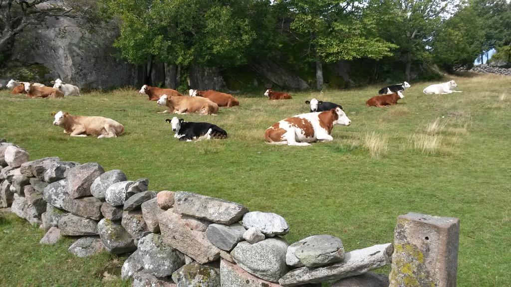 Ramsviks Overgard Vandrehjem Hunnebostrand Eksteriør billede